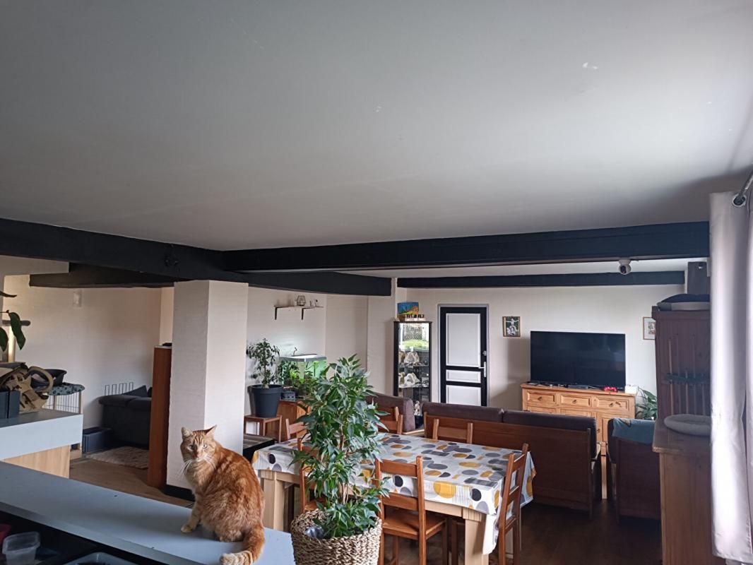 BRAY Maison 6 pièce(s) 250 m2 avec grand jardin 2