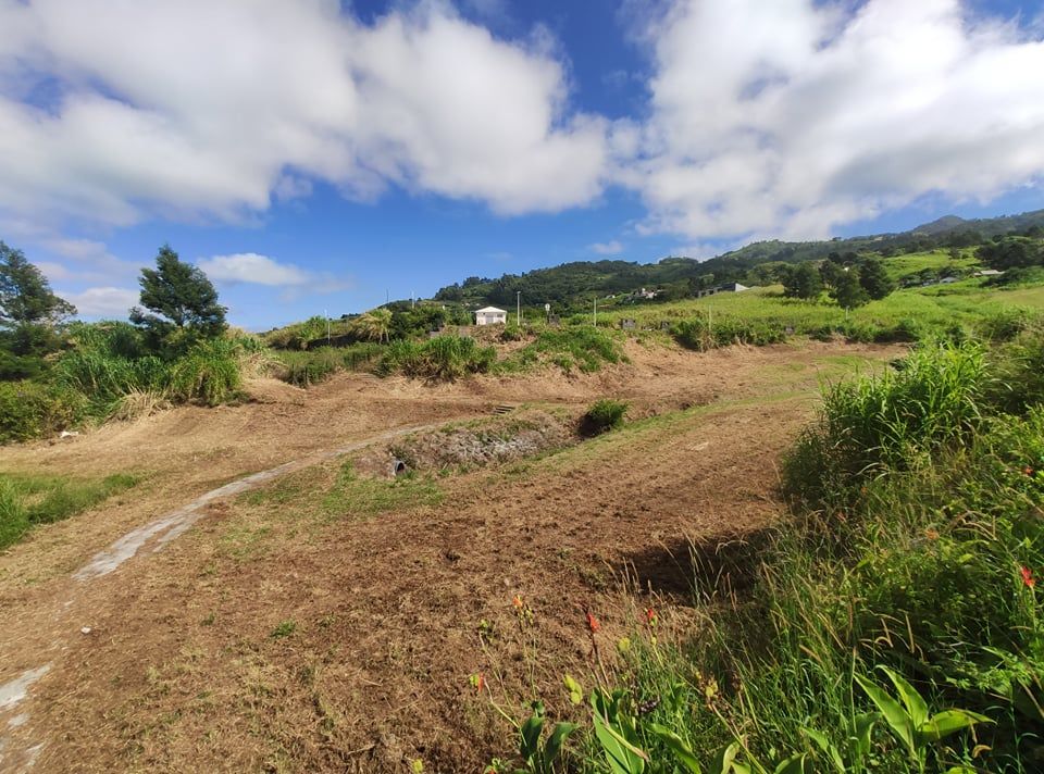 SAINT-LEU TERRAIN VIABILISE SITUE AU PLATE SAINT-LEU 2