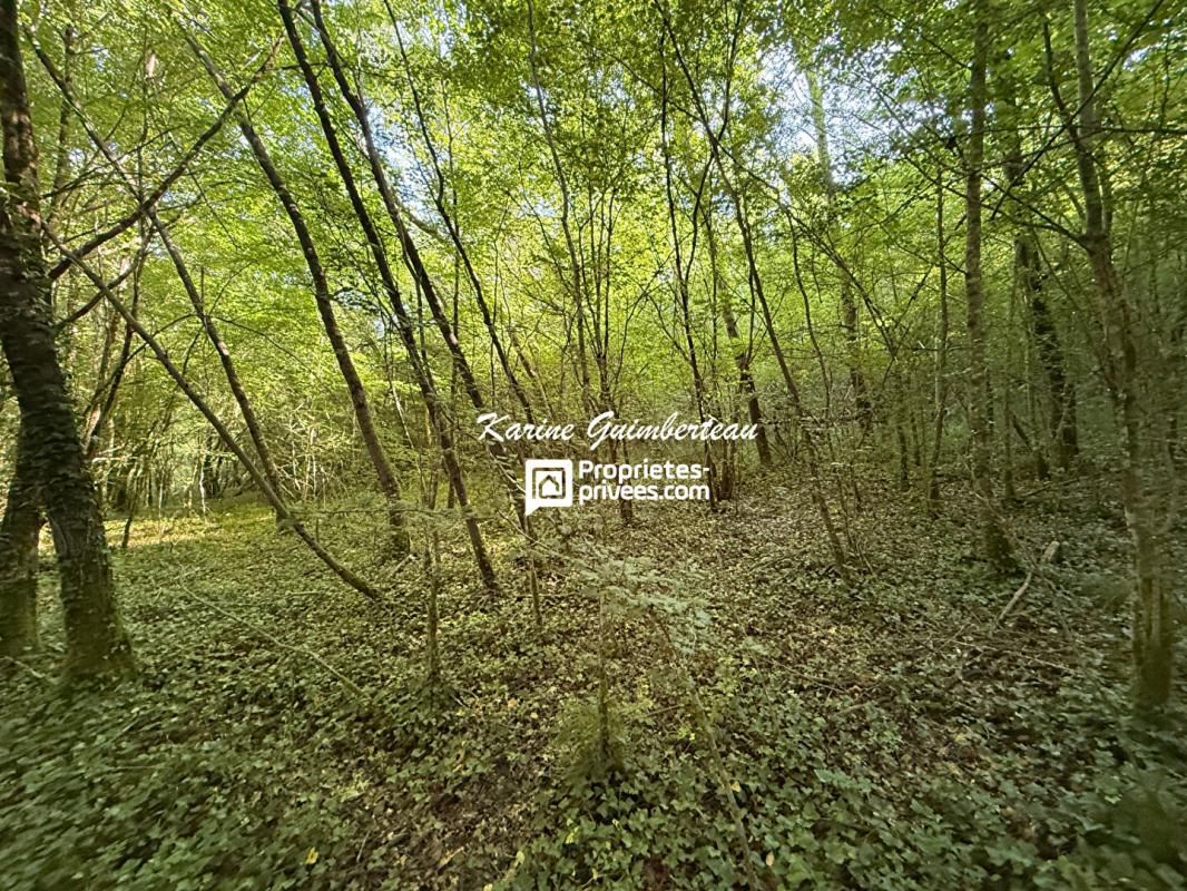 BAYAS Propriété de 12 ha avec prairies + bois + vignes + bâtiments 2