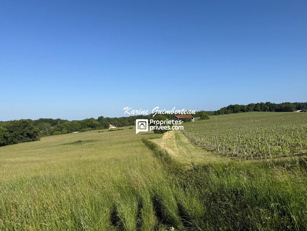 BAYAS Propriété de 12 ha avec prairies + bois + vignes + bâtiments 3