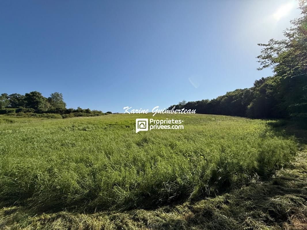 BAYAS Propriété de 12 ha avec prairies + bois + vignes + bâtiments 4