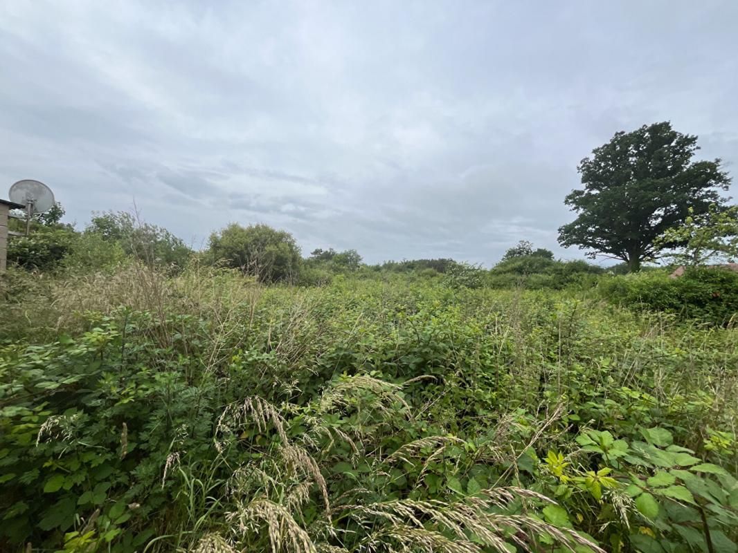ROMORANTIN-LANTHENAY Terrain Romorantin Lanthenay 15260 m2 2