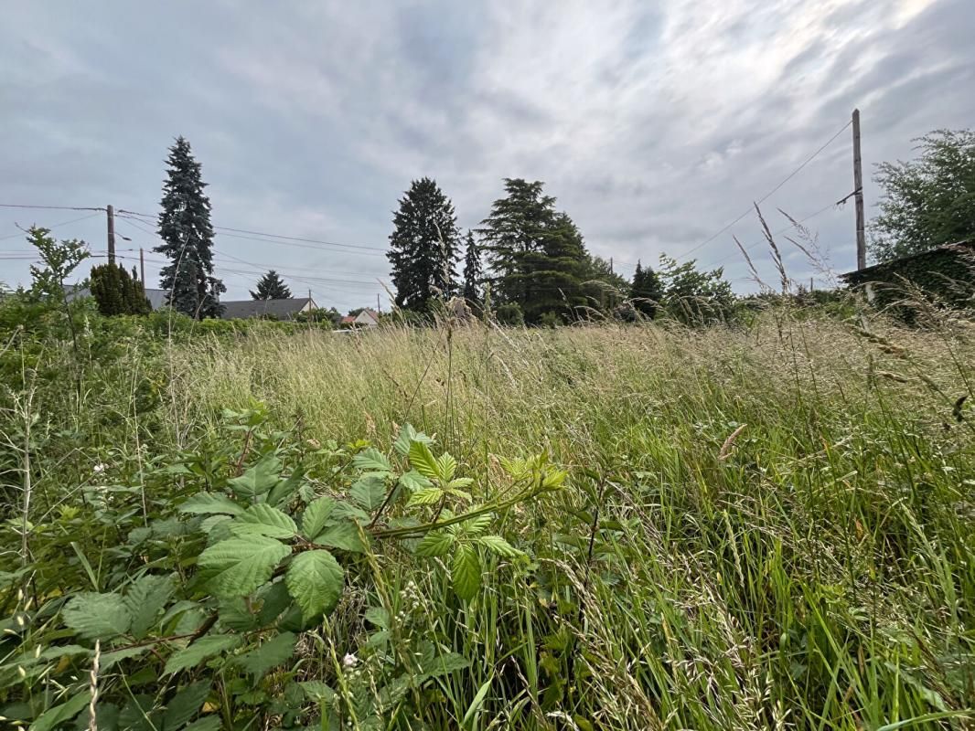ROMORANTIN-LANTHENAY Terrain Romorantin Lanthenay 15260 m2 3