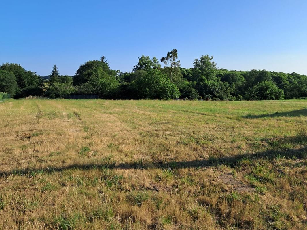 CAMPENEAC Terrain 981 m² Campénéac 3