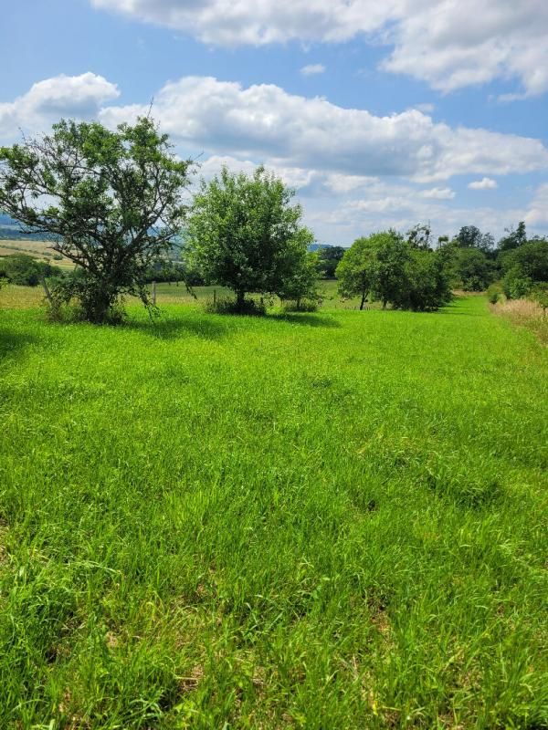 Terrain Fleurey Les Faverney
