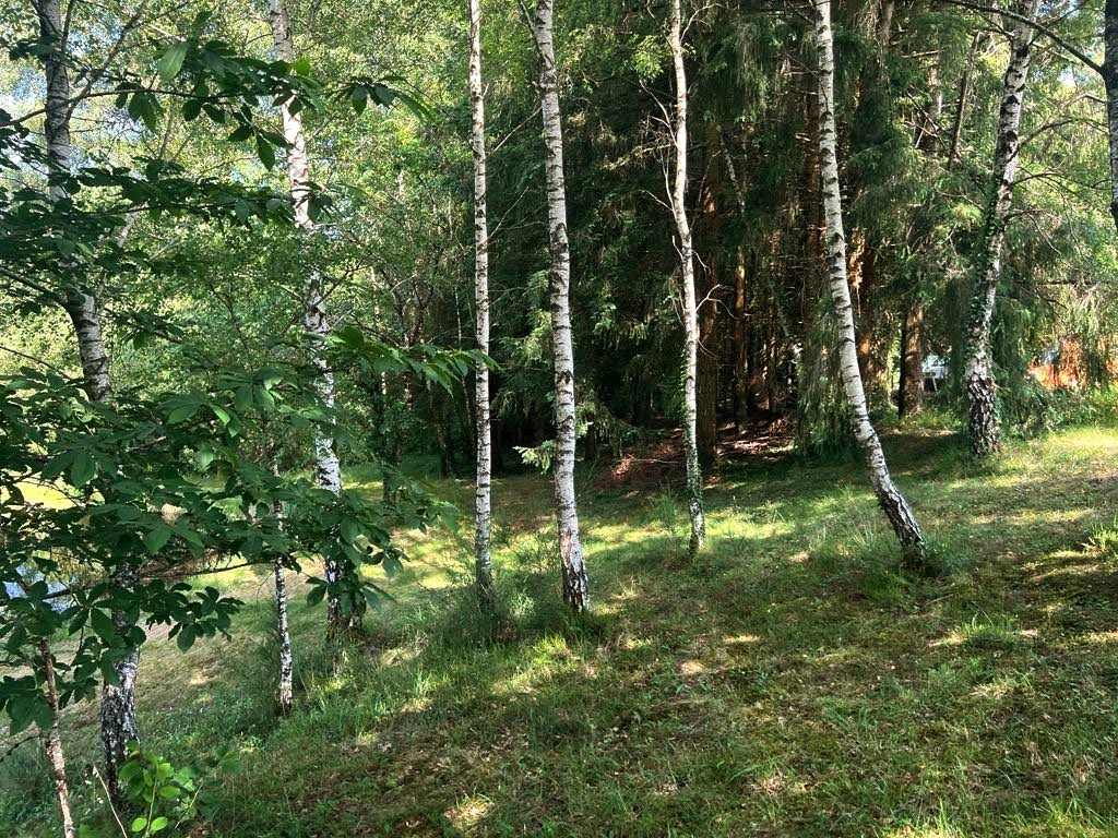 SARLANDE Etang avec maisonnette 40m² à Sarlande 4