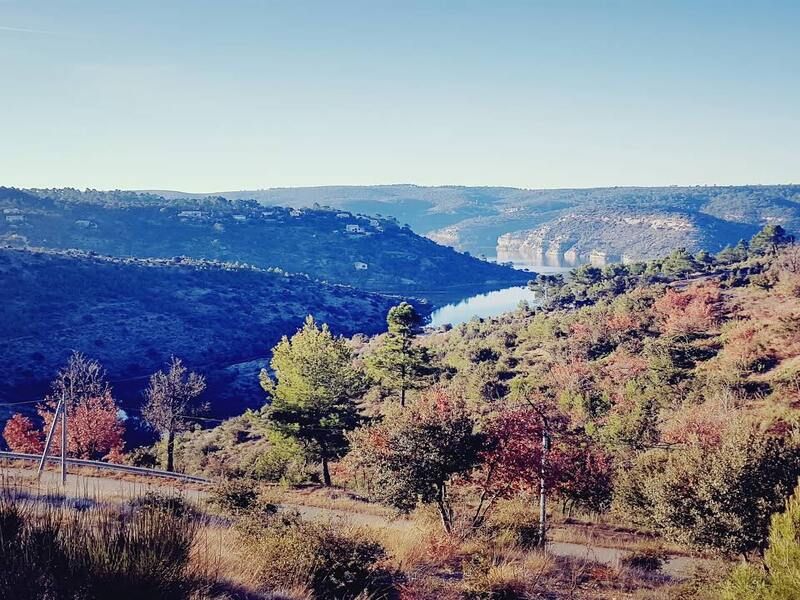 ESPARRON-DE-VERDON À vendre Domaine de 16 Hectares Ancien Camping Dans les Gorges du Verdon 2