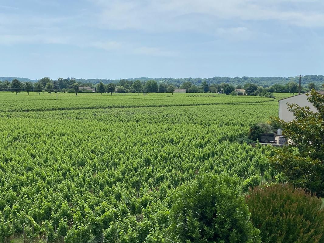 VIGNONET Magnifique château XIXe à Saint Emilion 280 m2 8ha vignes 4