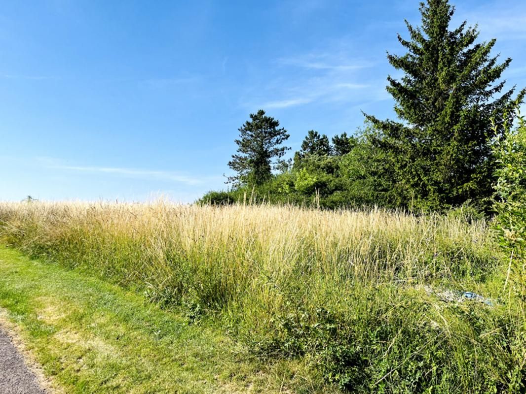 LES GRANDES-CHAPELLES Terrain constructible 1420 m2 3