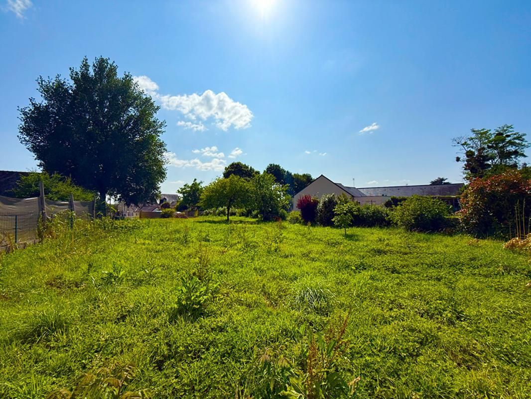 CHAMPIGNE Terrain Les Hauts D Anjou - Champigné 941 m2 4