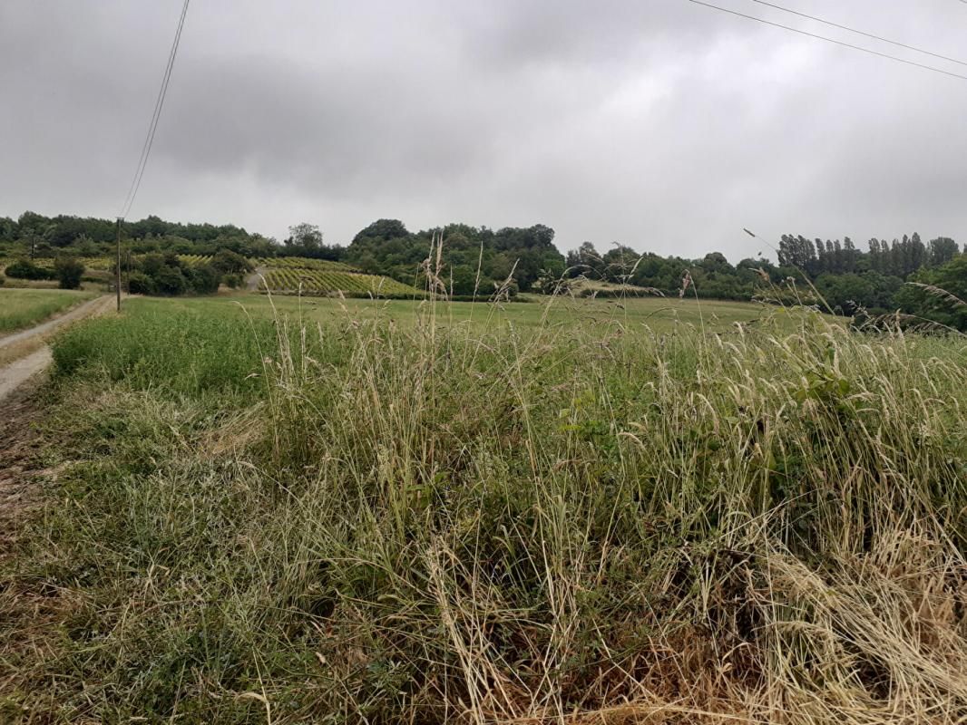 LA FLECHE Terrain La Fleche 11500 m2 3