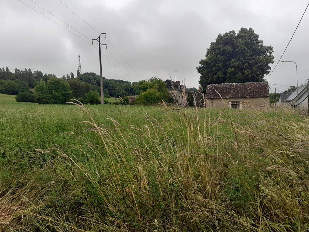 LA FLECHE Terrain La Fleche 11500 m2 4