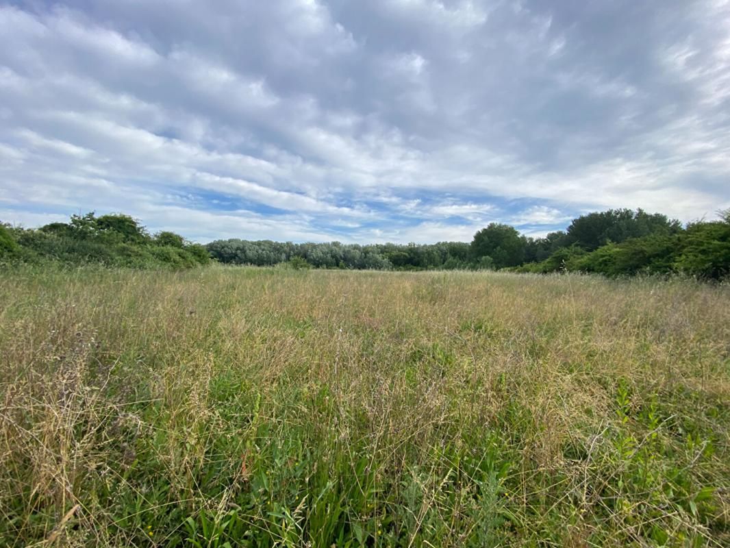 VILLELAURE Terrain agricole de 2,5 ha à Villelaure avec 4box pour chevaux 3