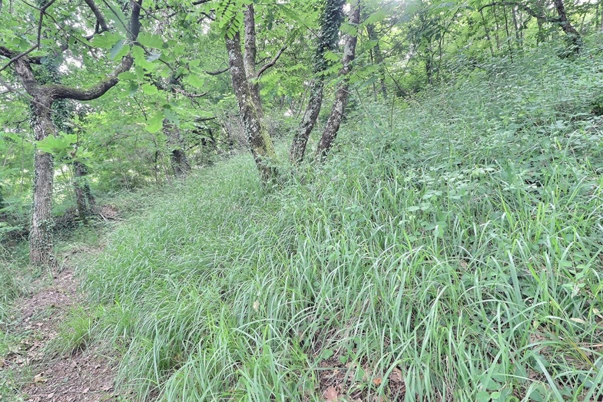 LABEGUDE A vendre, Labegude, terrain à batir, vue exceptionnelle, 978 mm² 4