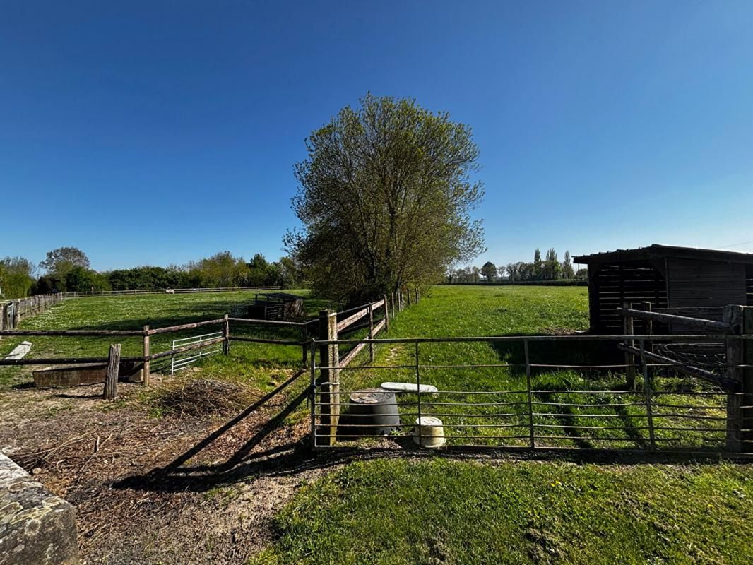 GENNES Longère Les Rosiers sur Loire Loire 12 pièce(s) 300 m2 4
