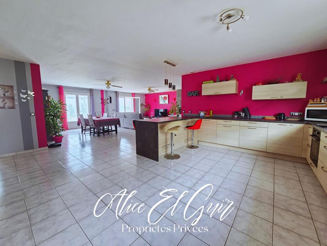 CARCASSONNE Maison proche Castelnaudary et Bram - 151 m² sur 4764 m² - 4 chambres, garage 3