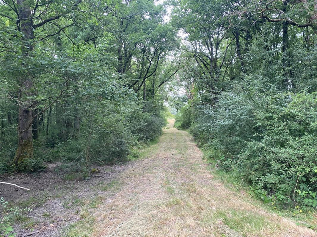 MIGNE Propriété d'agrément Migne 6 pièce(s) 140 m2 4