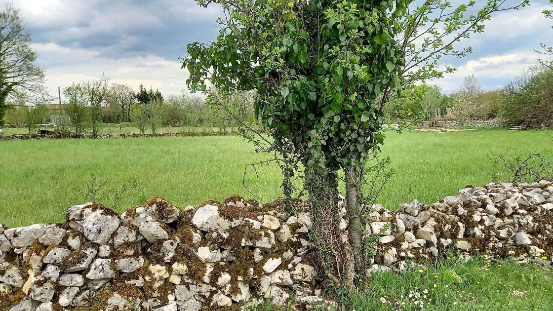 LIMOGNE-EN-QUERCY Terrain constructible plat plus de 2000 m² 1