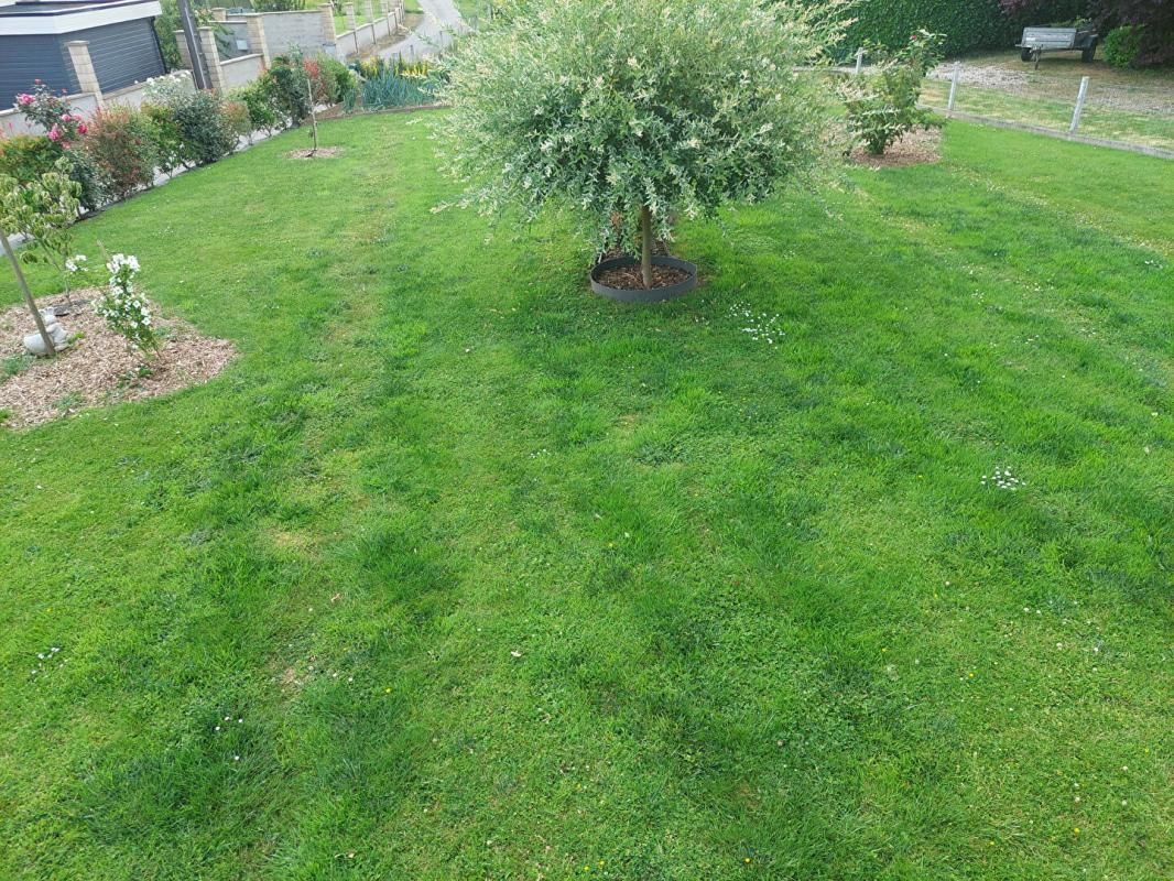 YVETOT Maison Yvetot 3 pièce(s) 55 m2 3