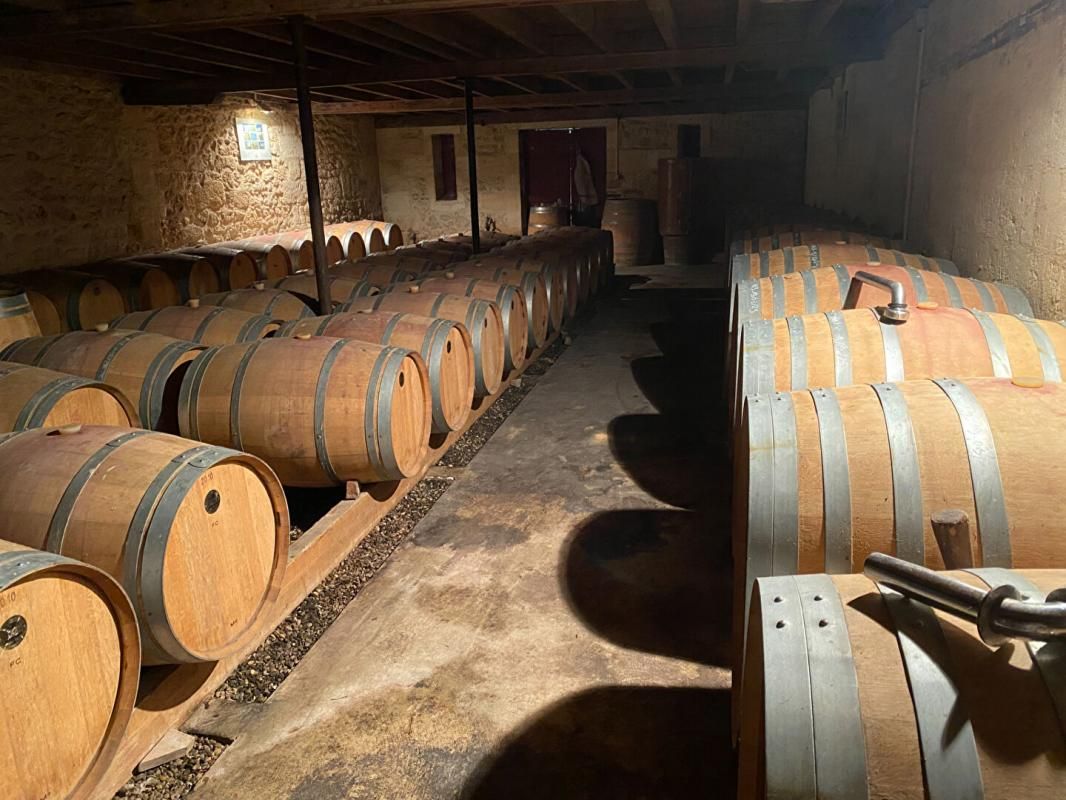 SAINT-EMILION Secteur SAINT EMILION - DOMAINE VITICOLE Saint-Georges, 7 Hectares 2