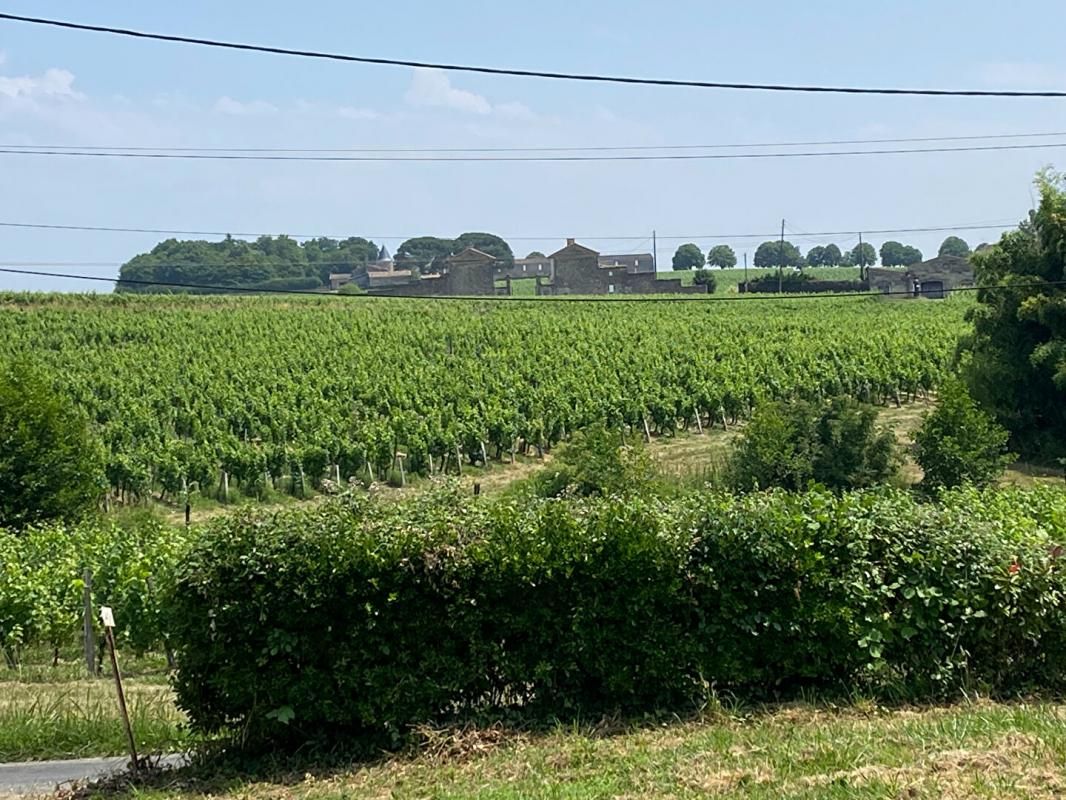 SAINT-EMILION Secteur SAINT EMILION - DOMAINE VITICOLE Saint-Georges, 7 Hectares 3