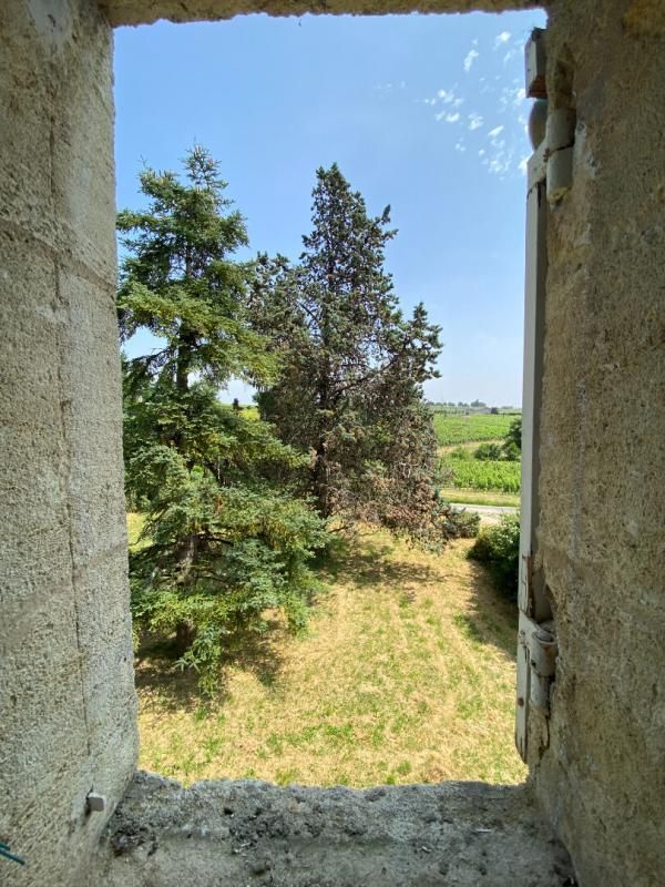 MONTAGNE Opportunité confidentielle et rarissime : un château viticole d'exception au coeur de Saint-Georges-Saint-Émilion 2