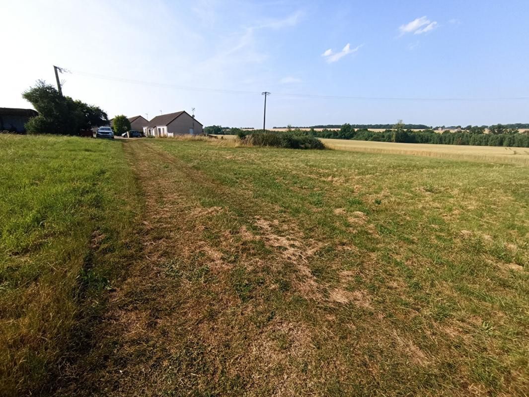 SAINT-LACTENCIN Beau terrain constructible de 1264 m2 à SAINT LACTENCIN, à 2 kms de BUZANCAIS 2