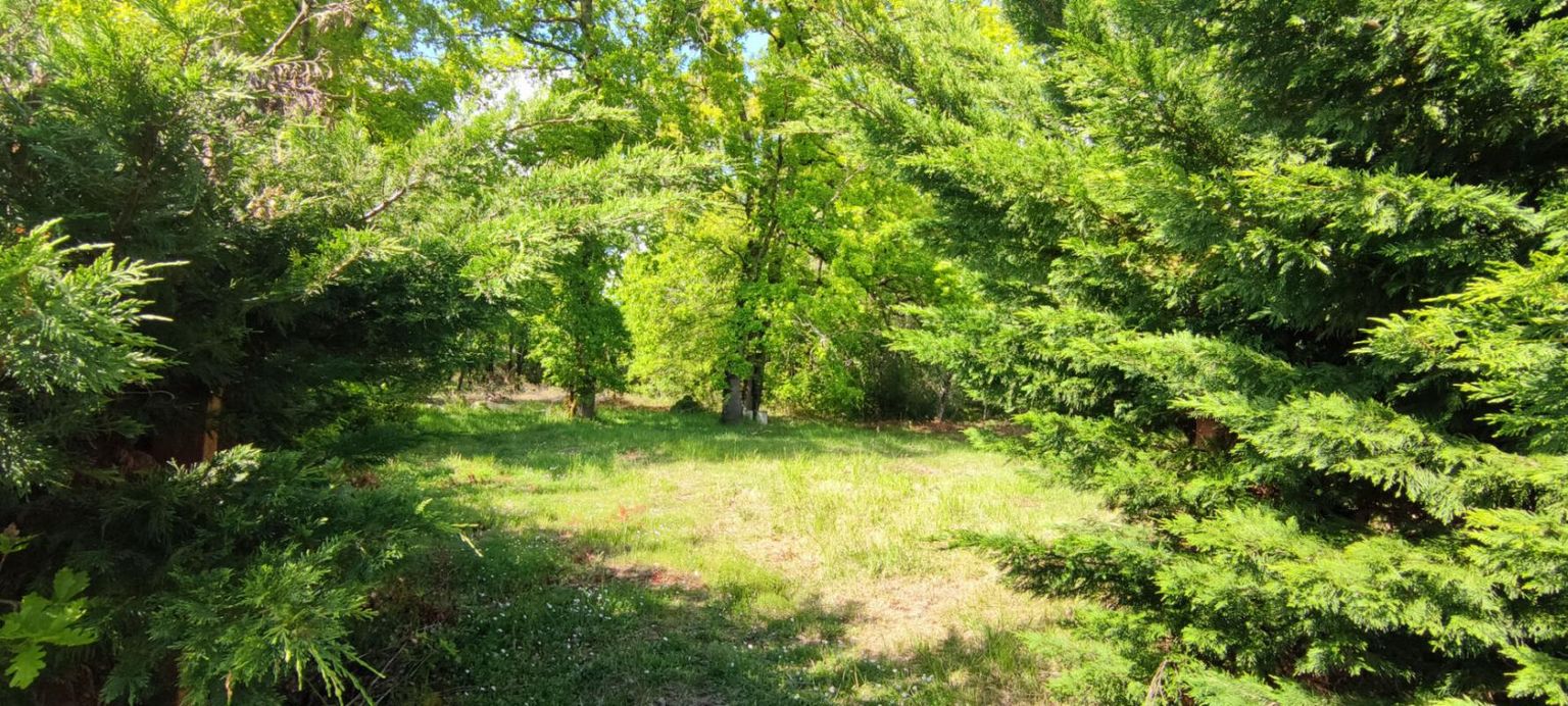 VILLEFRANCHE-DE-LONCHAT Terrain arbore constructible 2200 m² 2