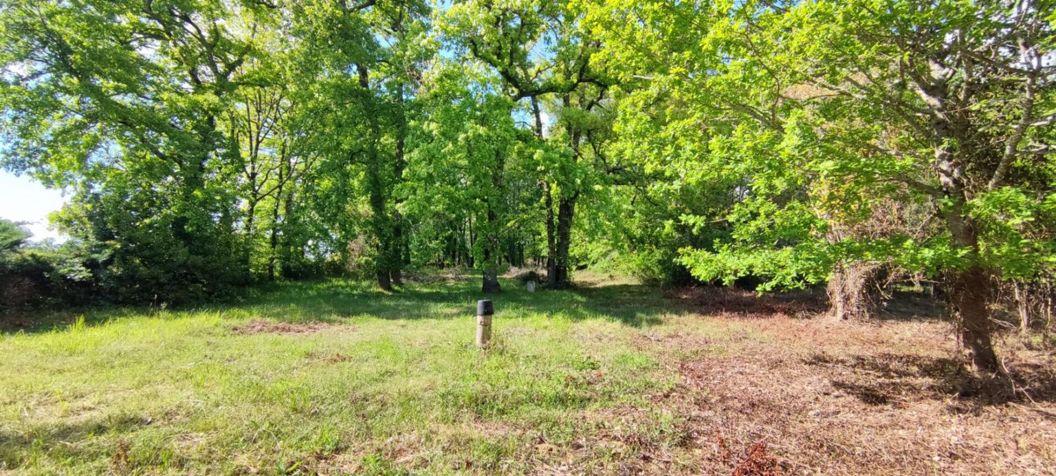 VILLEFRANCHE-DE-LONCHAT Terrain arbore constructible 2200 m² 3