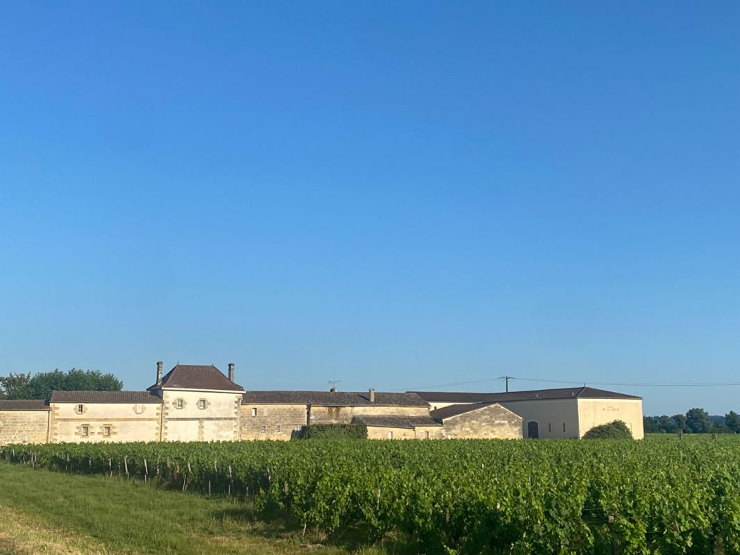 SAINT-EMILION SAINT EMILION - Domaine viticole d'exception , 10 Hectares 3