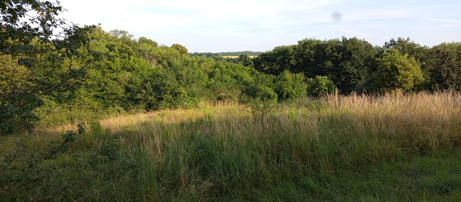 THULAY Terrain constructible 2740 m2 Thulay  25310 2