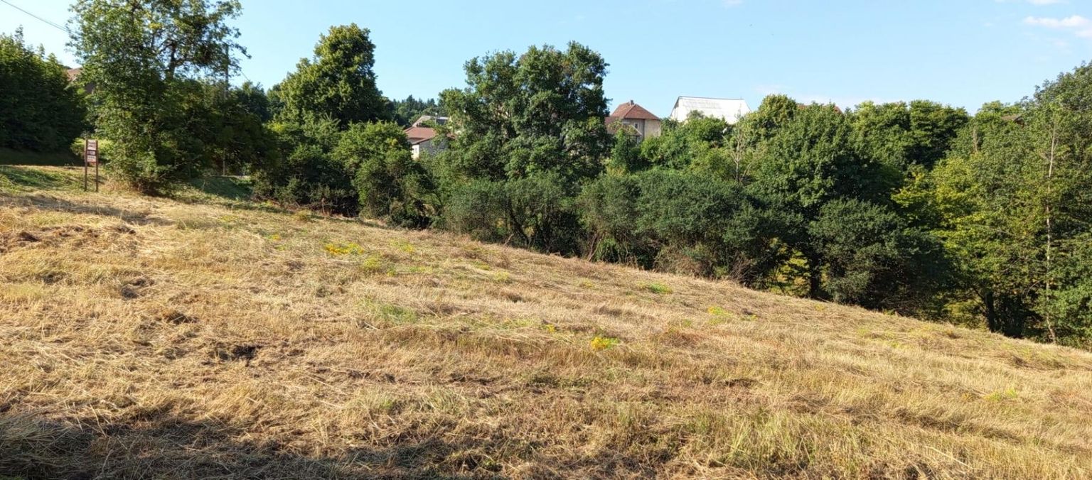 THULAY Thulay 25310 Terrain 2740 m2  constructible 3