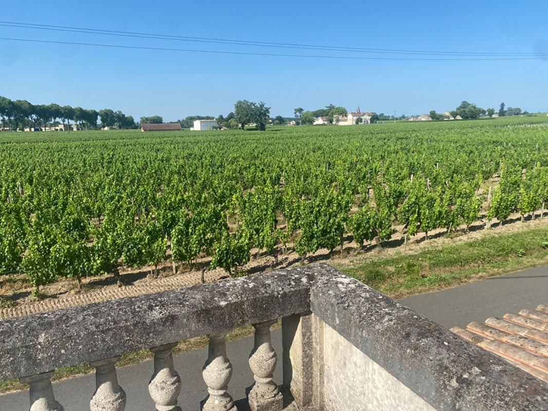 POMEROL Opportunité unique à Pomerol : un ensemble immobilier rare 1