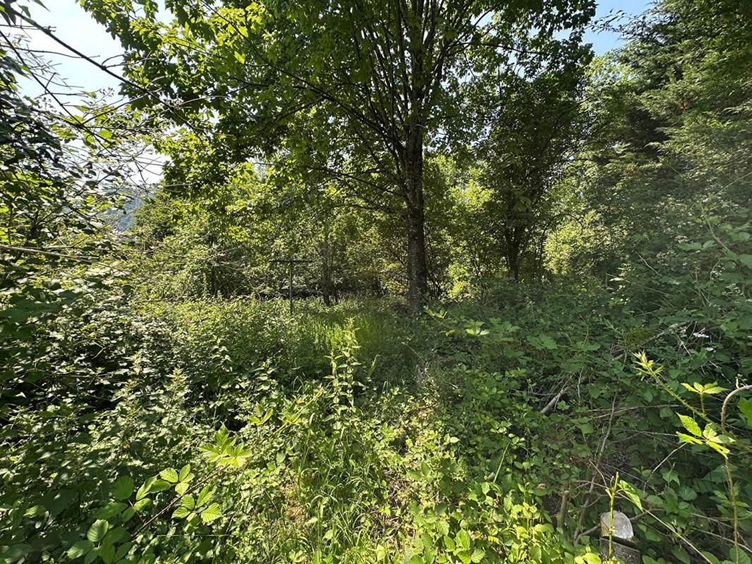 KRUTH Terrain au calme, Kruth, 68820, surface 2179 m2 2