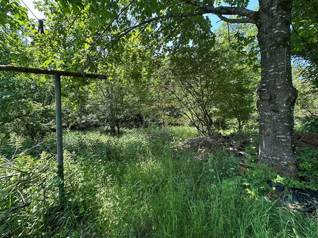 KRUTH Terrain au calme, Kruth, 68820, surface 2179 m2 3