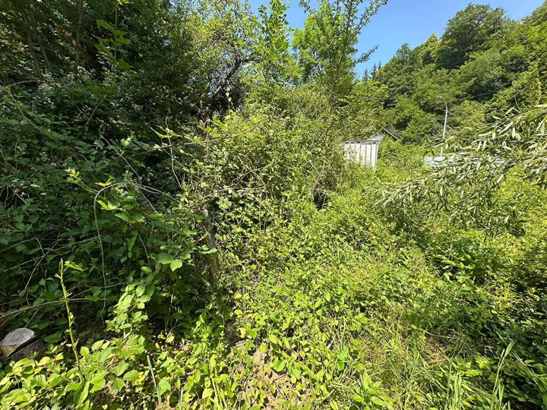 KRUTH Terrain au calme, Kruth, 68820, surface 2179 m2 4