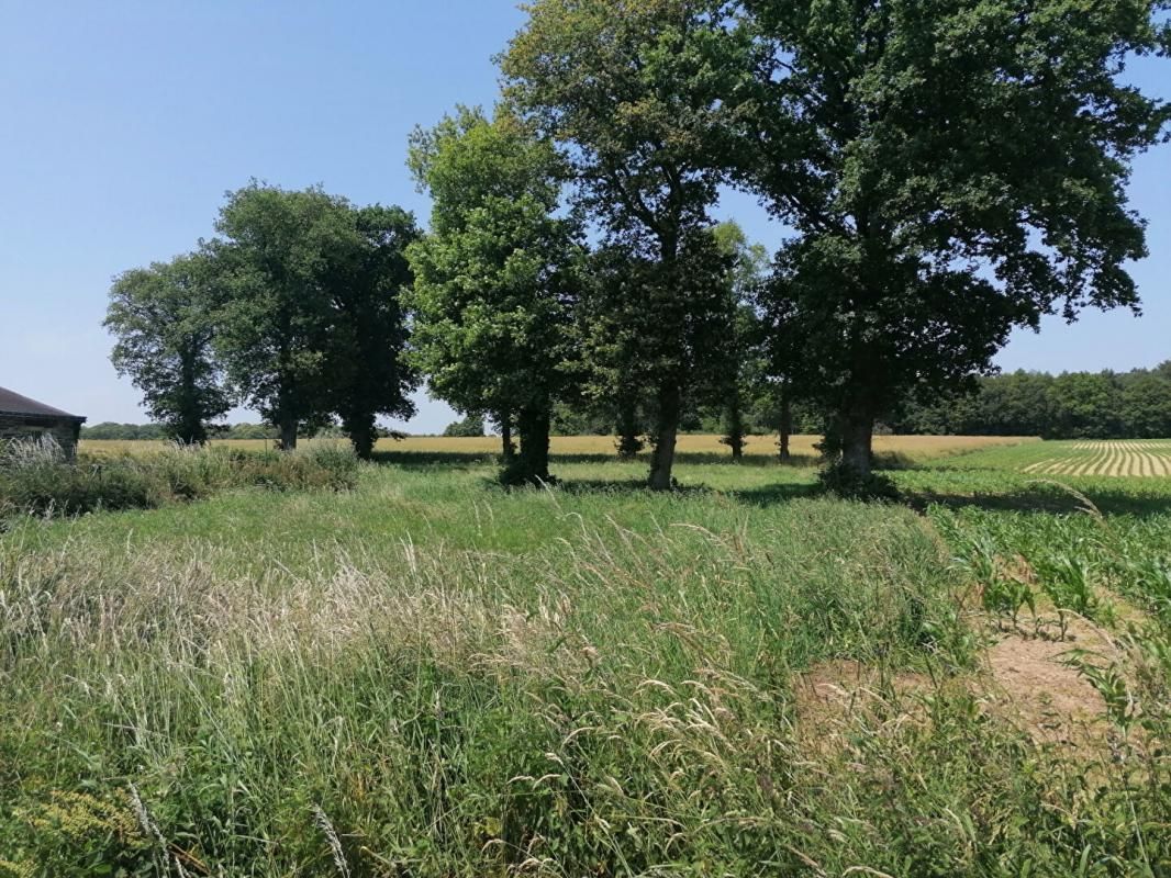 Terrain Loyat 2000 m2