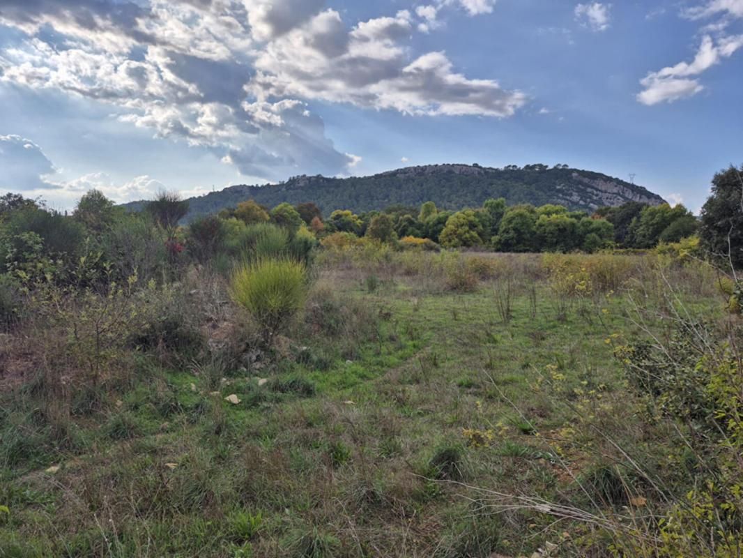 CABASSE Terrain Cabasse 3