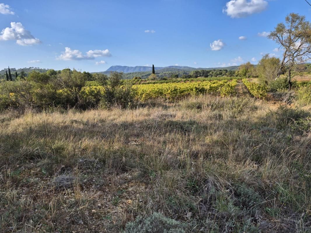 MONTFORT-SUR-ARGENS Terrain Montfort Sur Argens 2527 m2 2