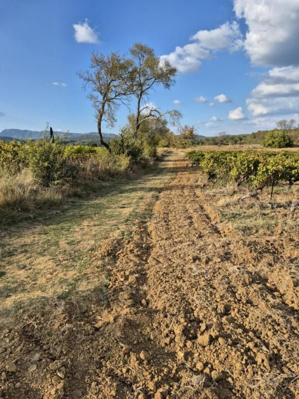 MONTFORT-SUR-ARGENS Terrain Montfort Sur Argens 2527 m2 4