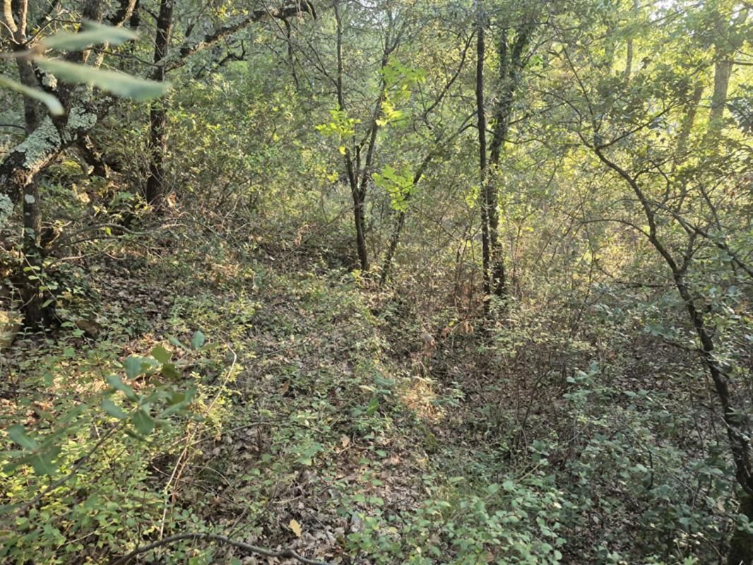 BRAS Terrain Bras 15720 m2 2