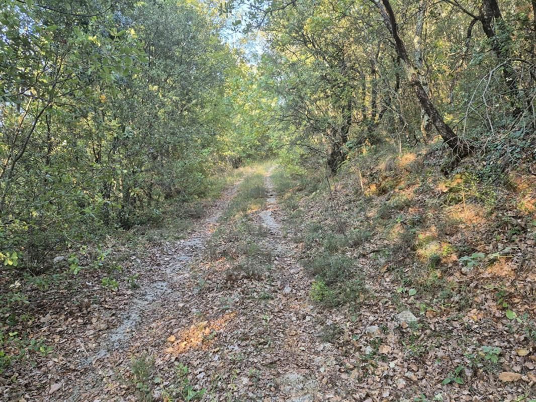 BRAS Terrain Bras 15720 m2 3