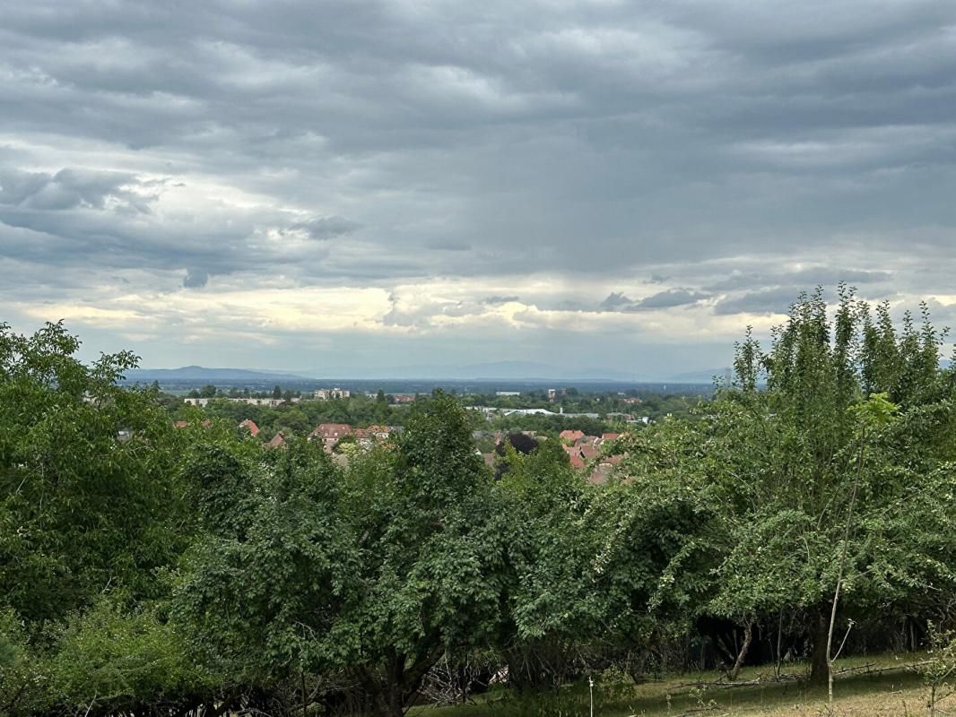 SOULTZ-HAUT-RHIN Soultz Haut Rhin, Très beau terrain à bâtir, 3739 m2 dans le secteur recherché du Wolfhaag 3