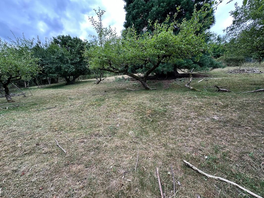 SOULTZ-HAUT-RHIN Soultz Haut Rhin, Très beau terrain à bâtir, 3739 m2 dans le secteur recherché du Wolfhaag 4