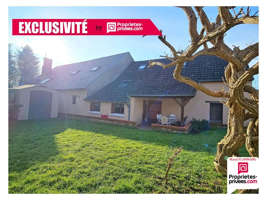 SAINT-JEAN-DE-BRAYE Maison Saint Jean De Braye 6 pièces 200 m2 2