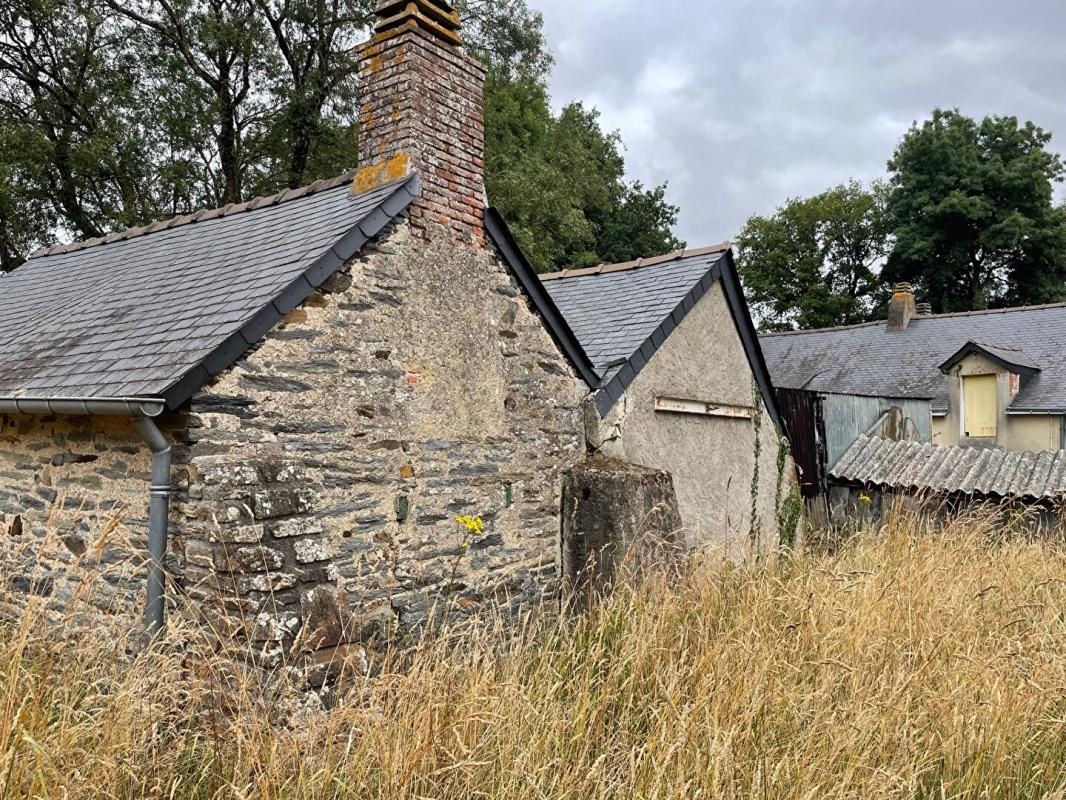SAFFRE Bâtisse en pierre à rénover - 3 pièces - 74 m² - SAFFRE 2