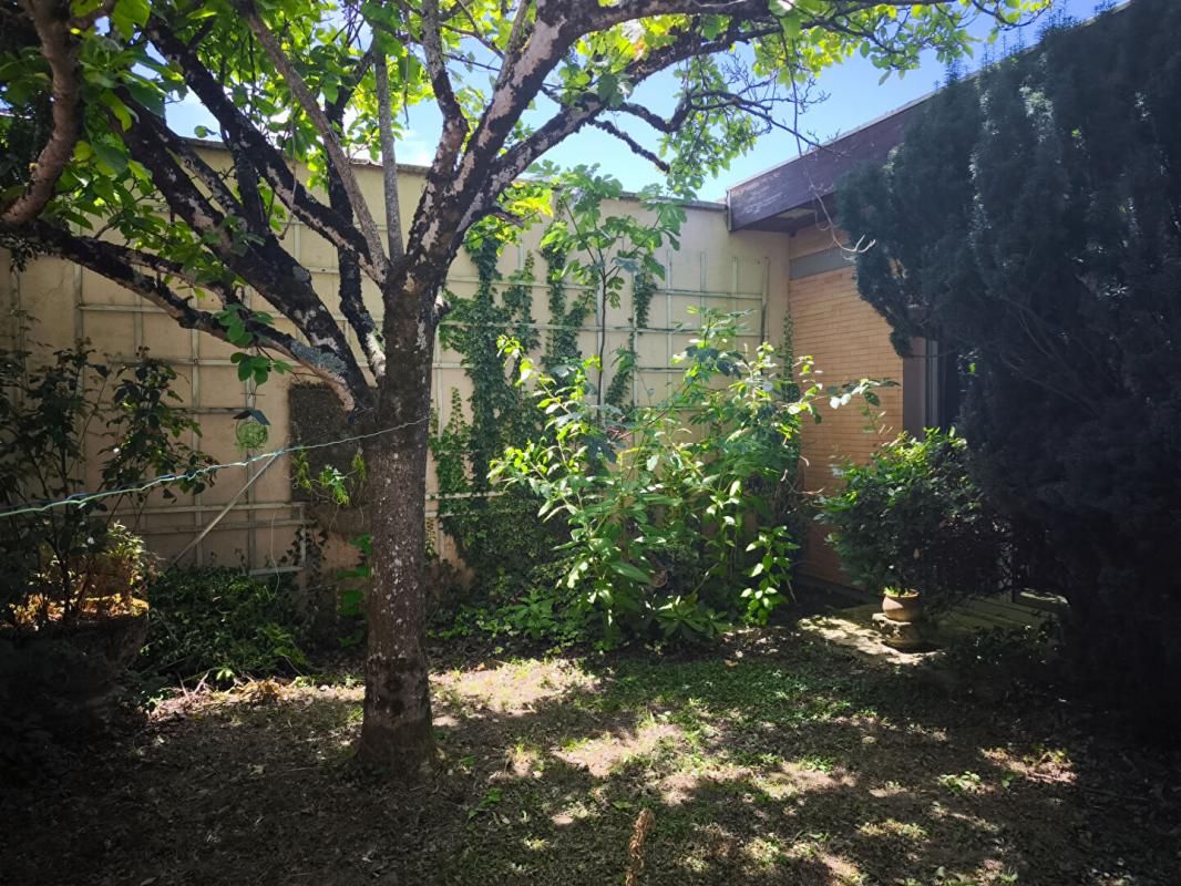 MAZAMET MAISON ATYPIQUE 240 m 2 + JARDIN -centre ville de MAZAMET 4