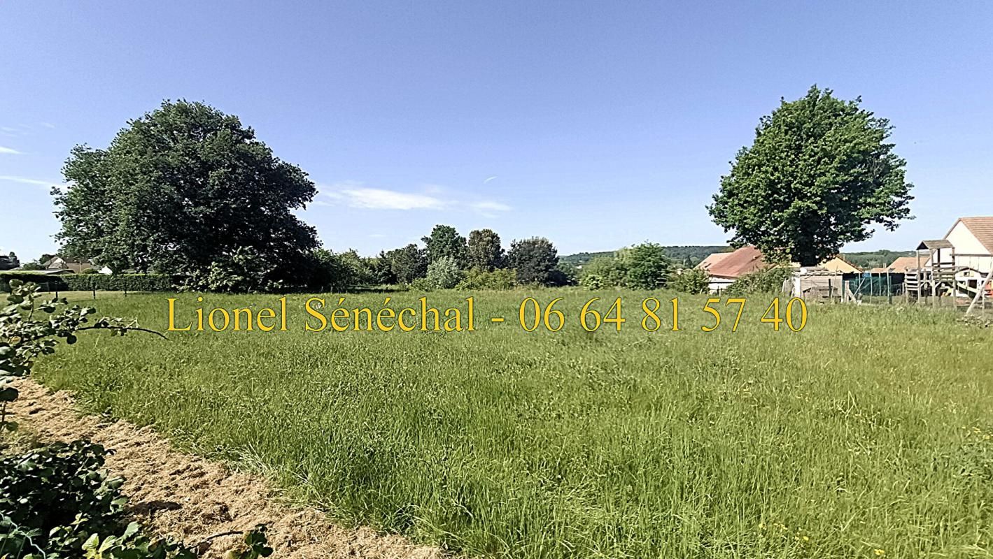 MONTBIZOT Terrain à bâtir avec de 4 852 m2 à Montbizot 3