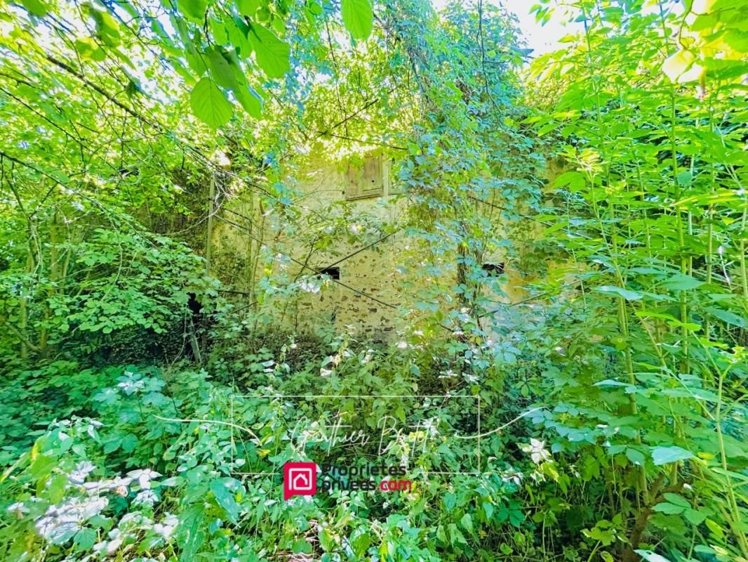 MAISONCELLES-EN-BRIE Maison Maisoncelles En Brie 3 pièce(s) 147 m2 3