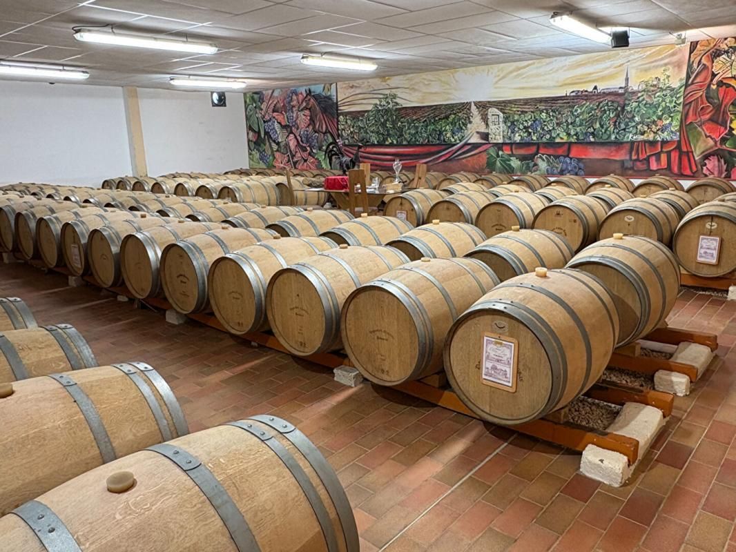 POMEROL OPPORTUNITÉ EXCEPTIONNELLE, DOMANINE VITICOLE À POMEROL 1